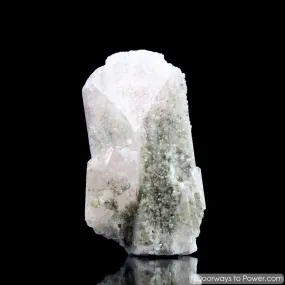 4.5" Danburite Pleiadian Starbrary  Druzy Manifester Crystal Synergy 12 Stone