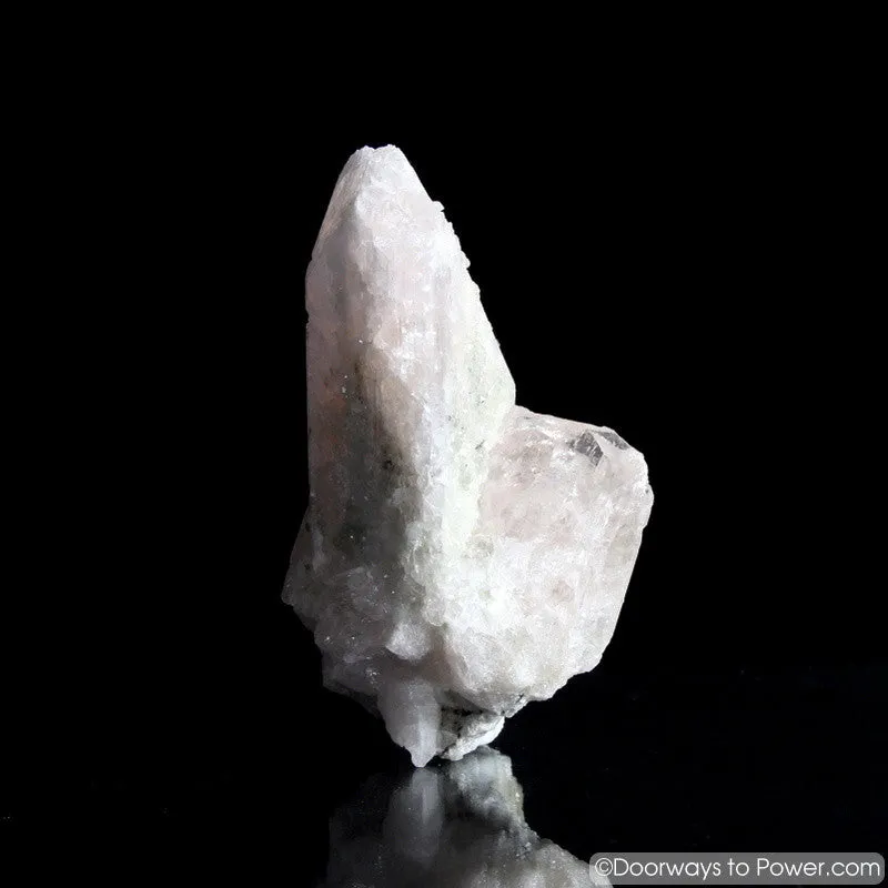 4.5" Danburite Pleiadian Starbrary  Druzy Manifester Crystal Synergy 12 Stone