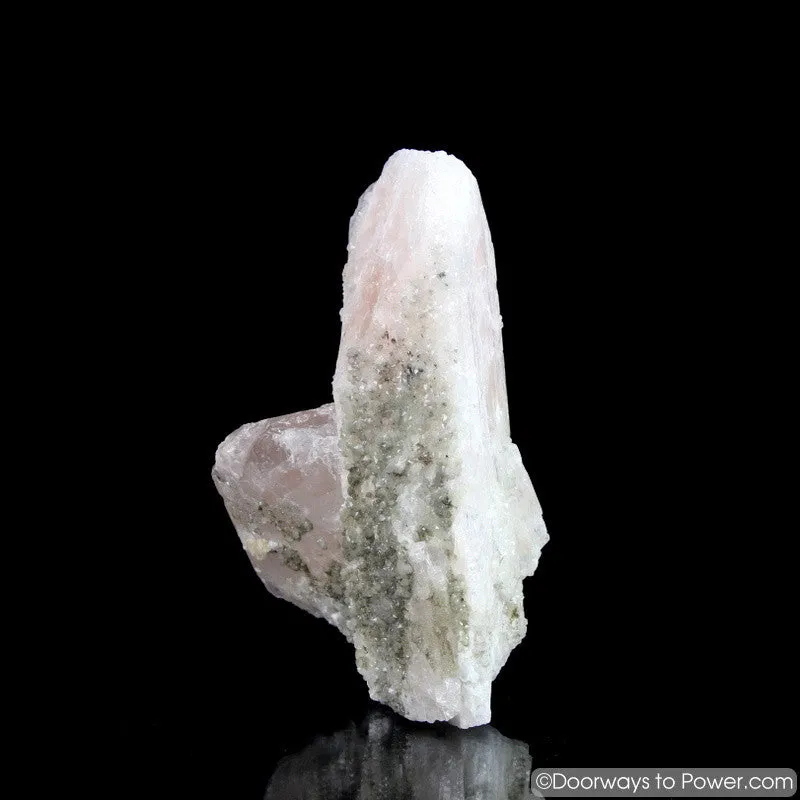 4.5" Danburite Pleiadian Starbrary  Druzy Manifester Crystal Synergy 12 Stone