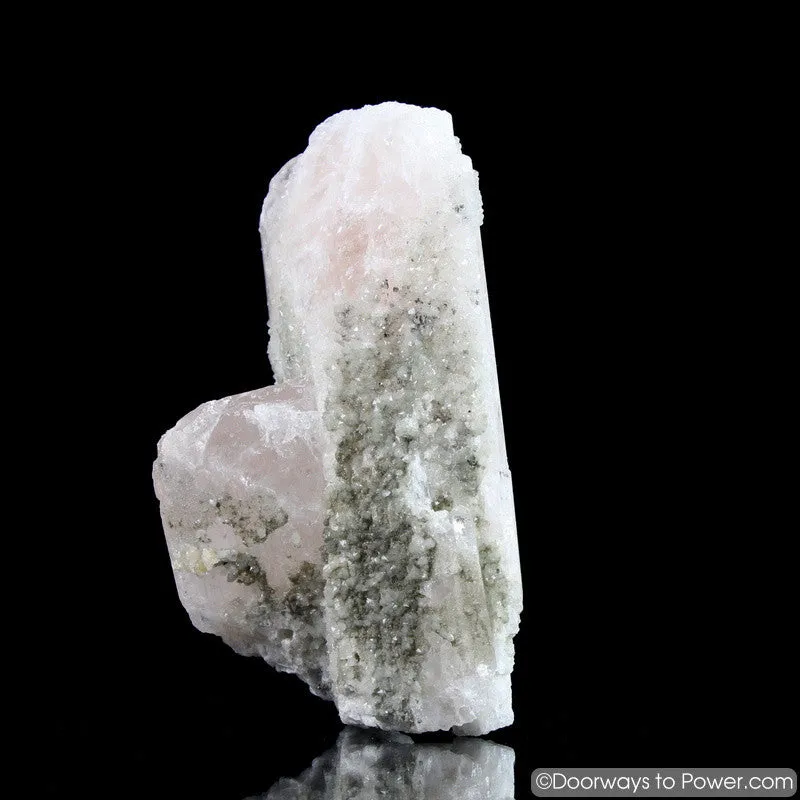 4.5" Danburite Pleiadian Starbrary  Druzy Manifester Crystal Synergy 12 Stone