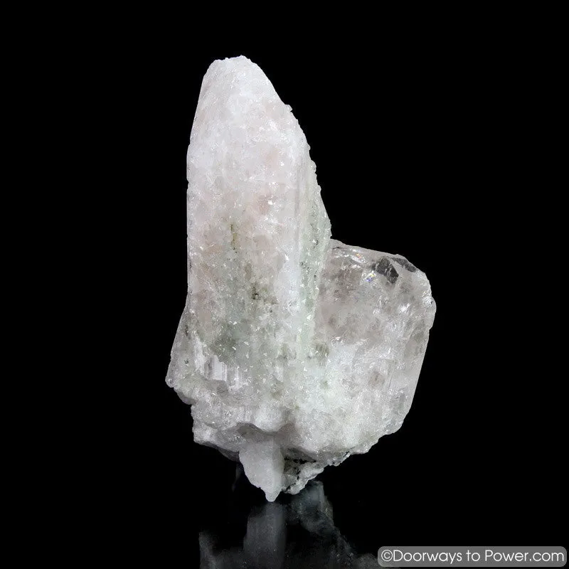 4.5" Danburite Pleiadian Starbrary  Druzy Manifester Crystal Synergy 12 Stone