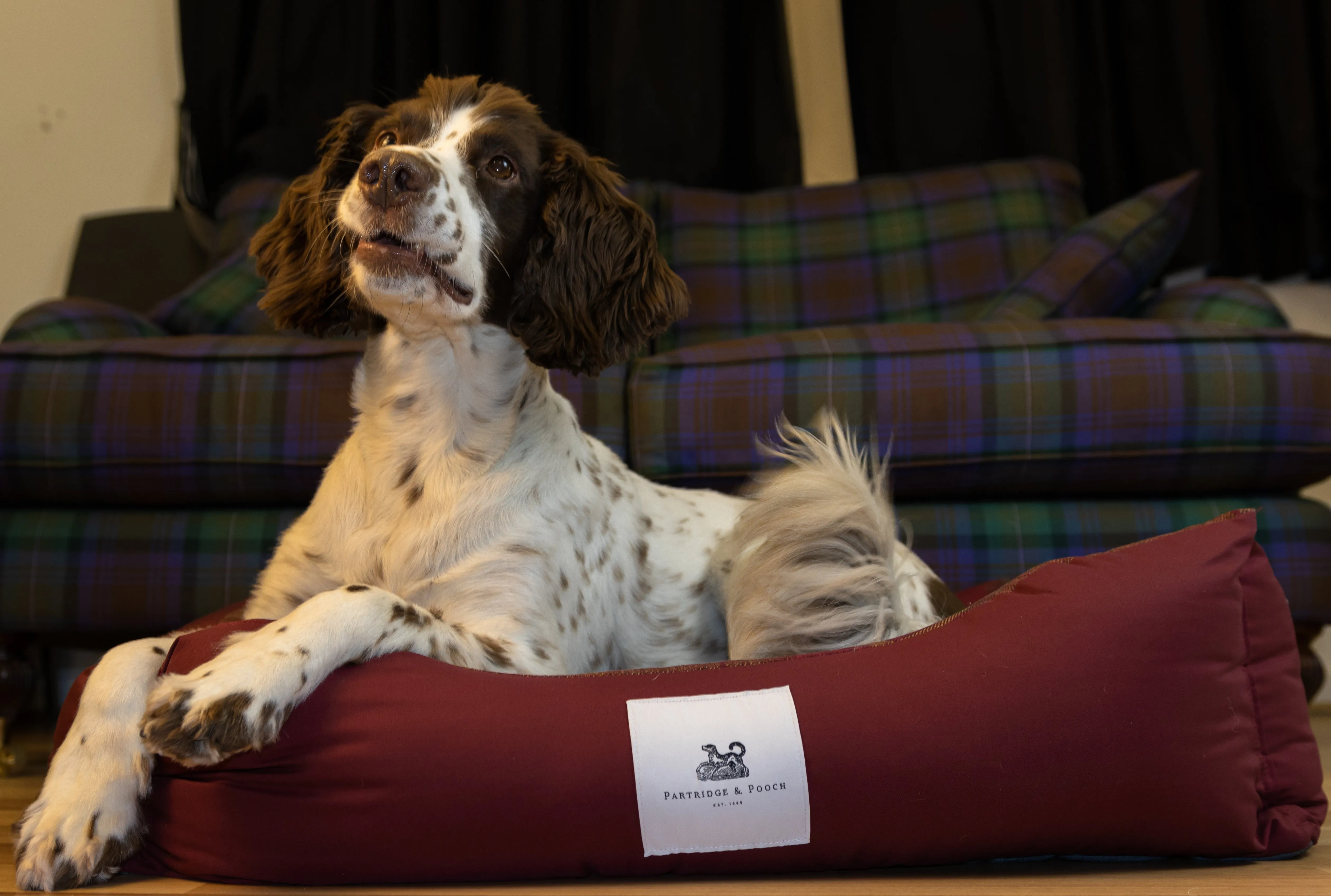 Amherst 2 in 1 Dog bed - Mulberry Red with Square Check