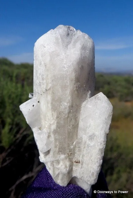 Danburite Crystal Synergy 12 Stone