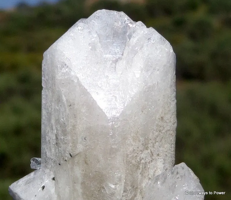 Danburite Crystal Synergy 12 Stone