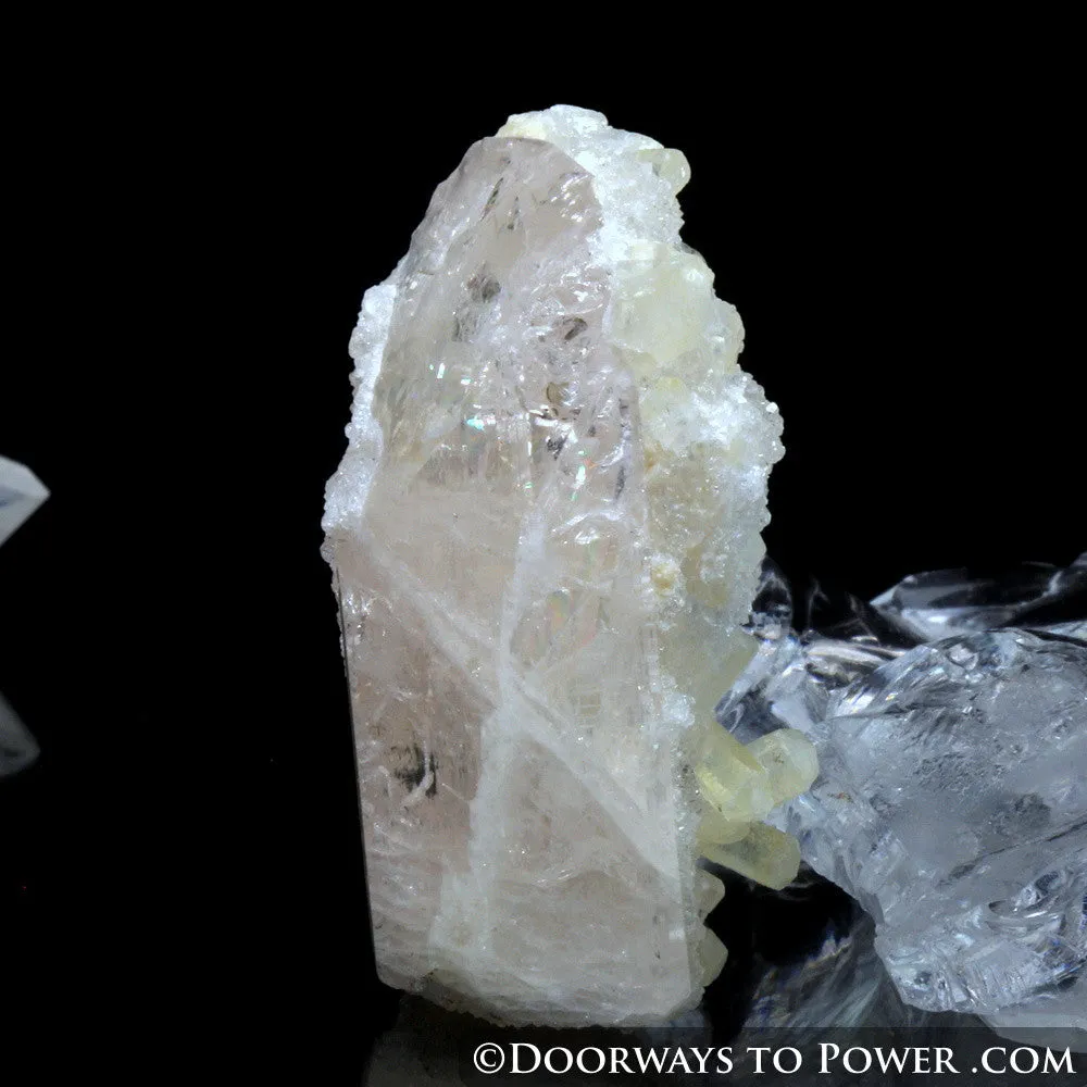 Danburite Druzy Crystal Specimen A    Synergy 12 Stone