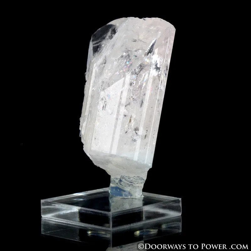 Danburite Pleiadian Starbrary Crystal Specimen A    