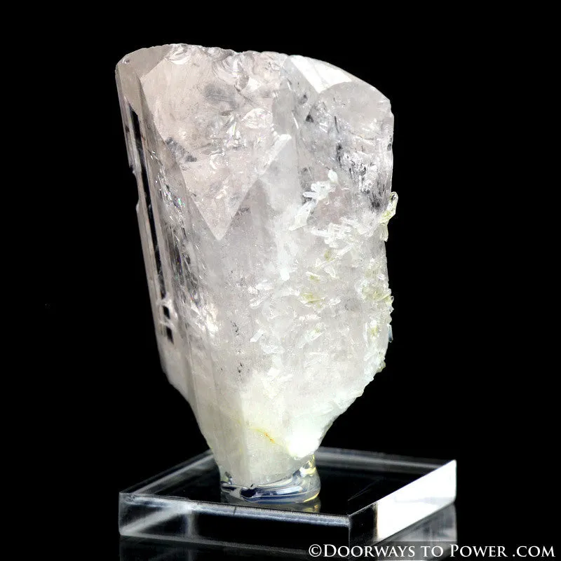 Danburite Pleiadian Starbrary Crystal Specimen A    