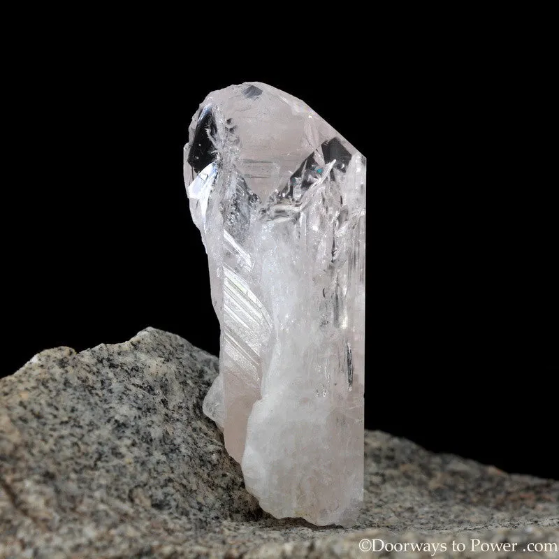 Danburite Synergy 12 Stone Crystal Dan-9