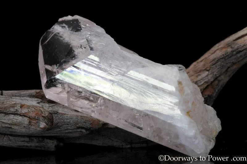 Danburite Synergy 12 Stone Crystal Dan-9