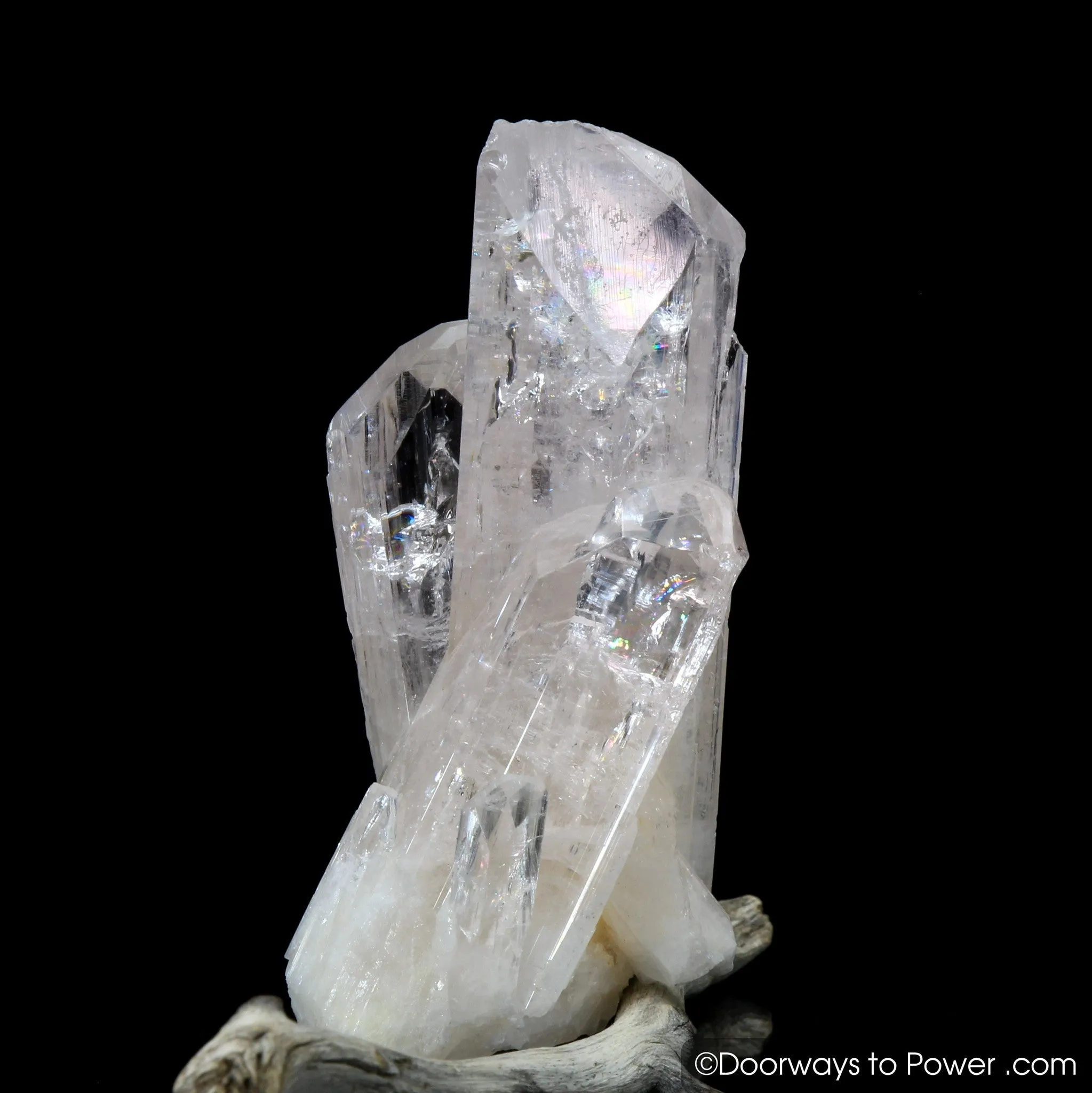 Danburite Synergy 12 Tantric Twin Manifestation Crystal "Angelic Spirit"