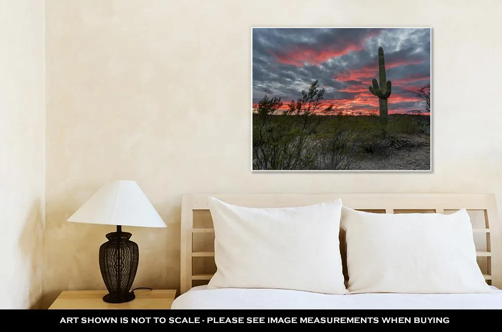 Gallery Wrapped Canvas, Saguaro Cacti Stand Against Setting Sun Near Tucson Arizona