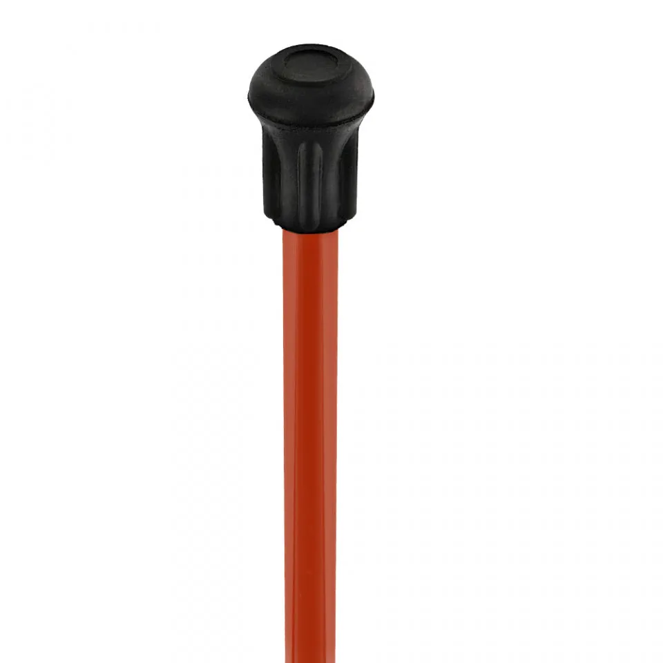 Lady Bug Lola Signature Carbon Fiber Walking Cane - 1 Red Shaft