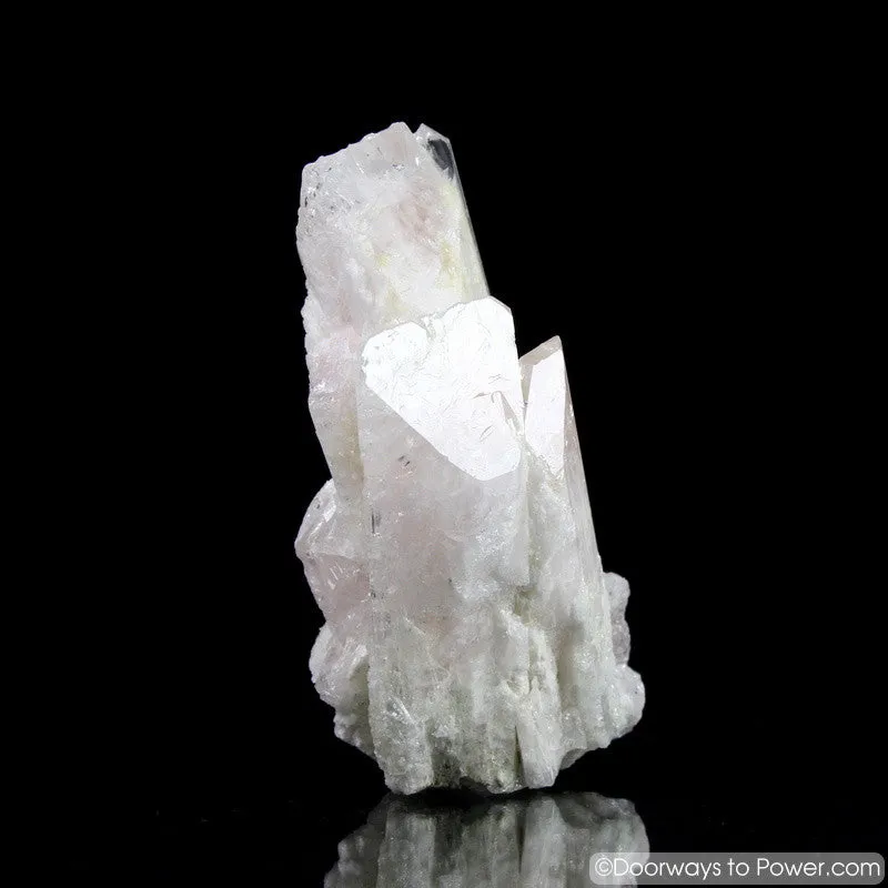 Rare 4.3" Danburite Synergy 12 Crystal with Pleiadian Starbrary & Twin