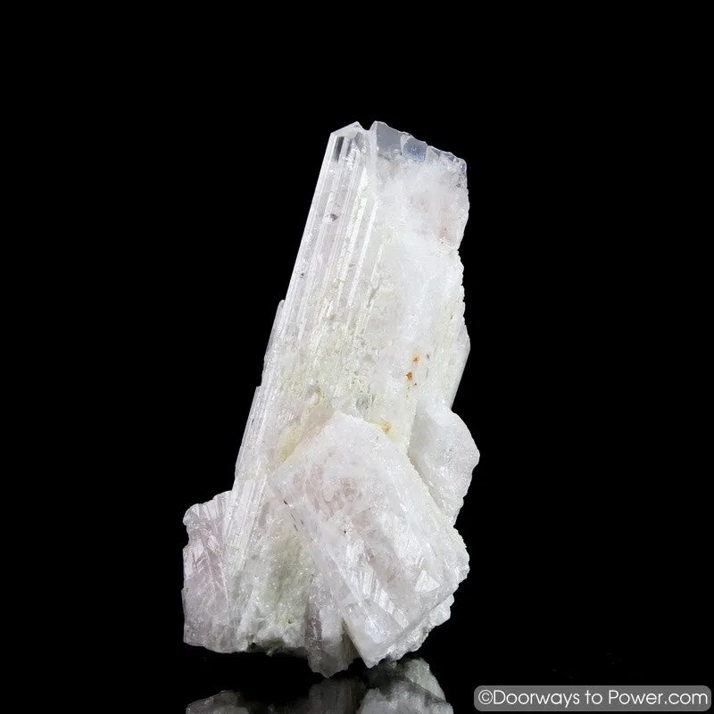 Rare 4.3" Danburite Synergy 12 Crystal with Pleiadian Starbrary & Twin