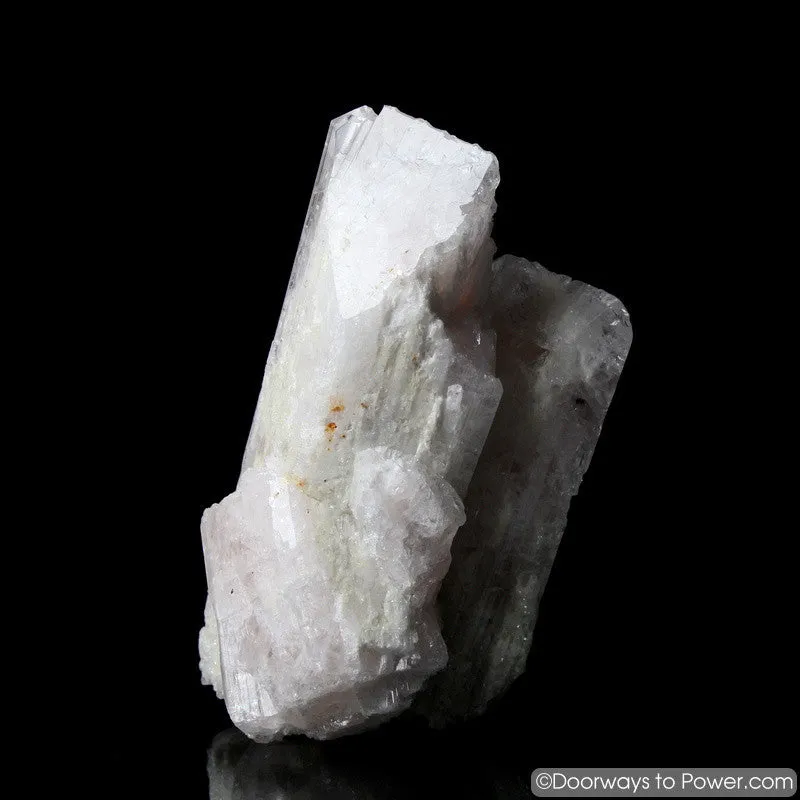 Rare 4.3" Danburite Synergy 12 Crystal with Pleiadian Starbrary & Twin