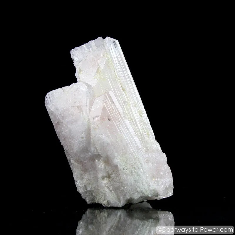 Rare 4.3" Danburite Synergy 12 Crystal with Pleiadian Starbrary & Twin