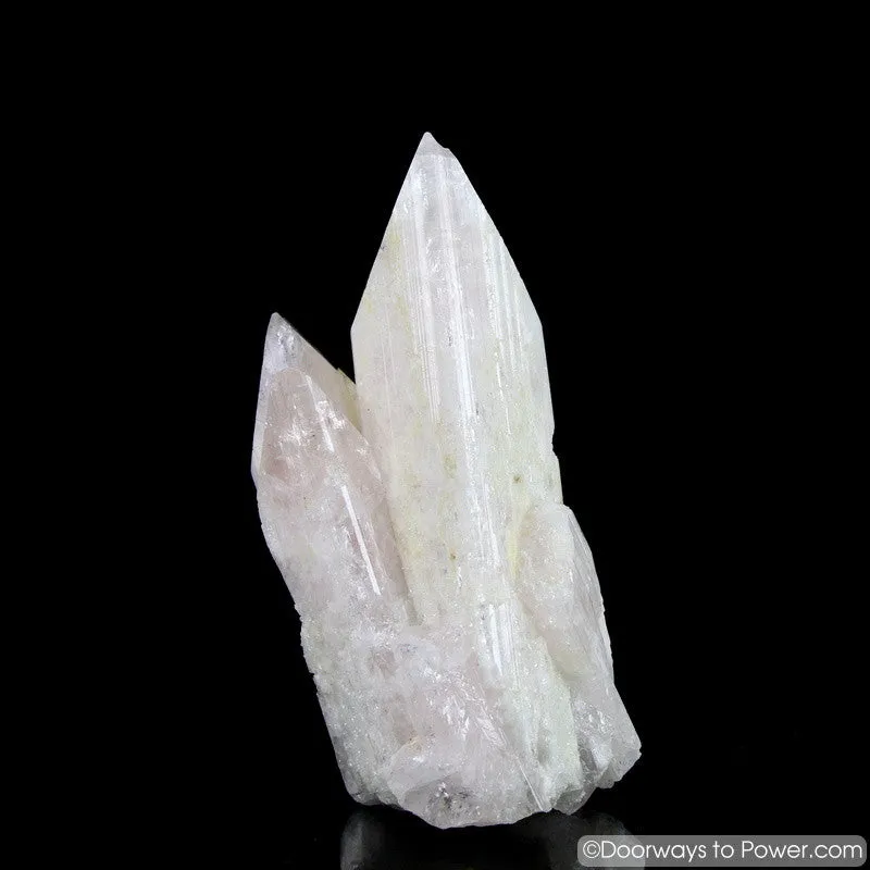 Rare 4.3" Danburite Synergy 12 Crystal with Pleiadian Starbrary & Twin