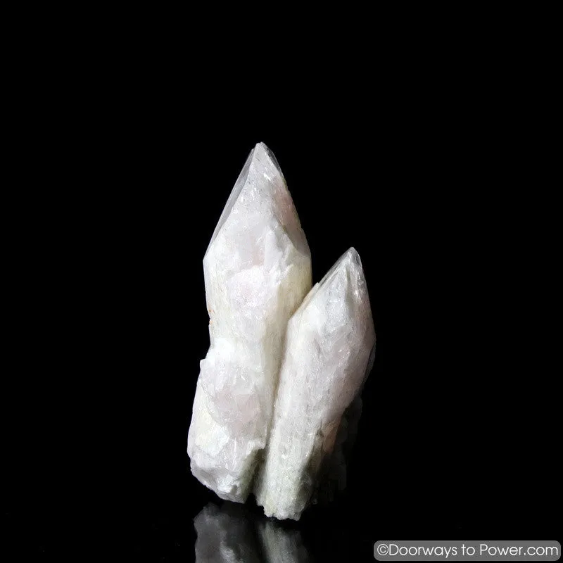 Rare 4.3" Danburite Synergy 12 Crystal with Pleiadian Starbrary & Twin