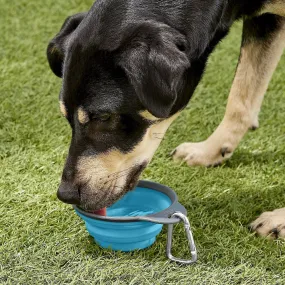 Travel Cup Foldable Pet Bowl